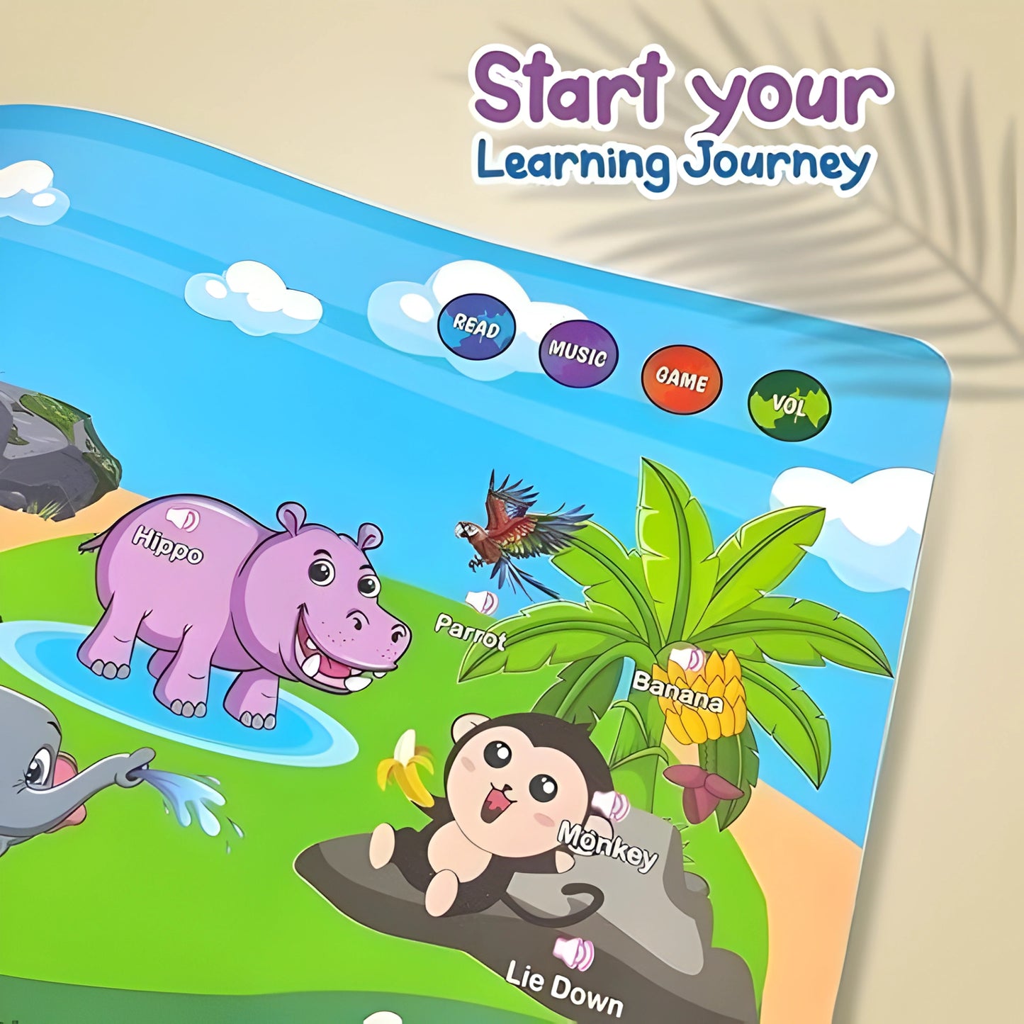 Learn & Play Interactive Talking Book