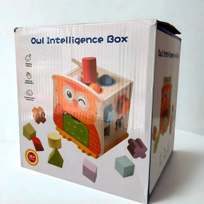 Owl Shape Sorter Wooden Toy with Hammer