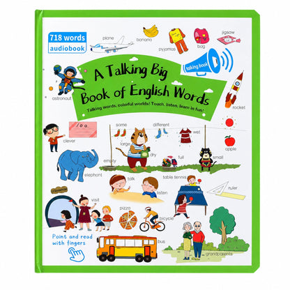 Interactive Talking Book
