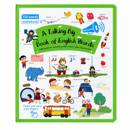 Interactive Talking Book