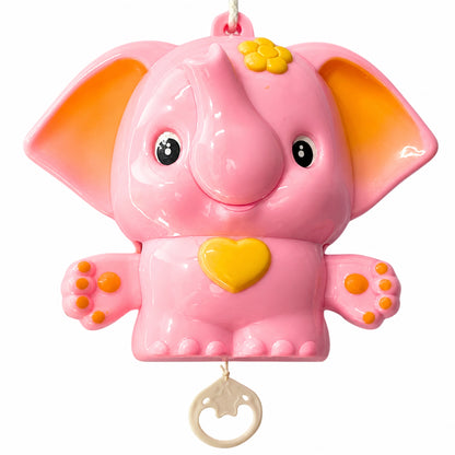 Baby Musical Pull Toy