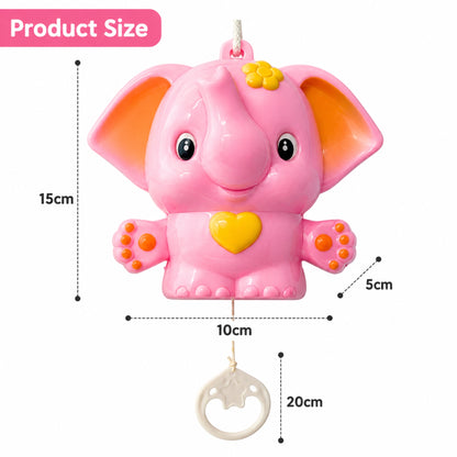 Baby Musical Pull Toy