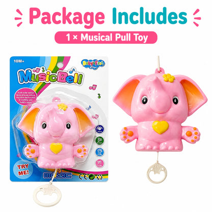 Baby Musical Pull Toy