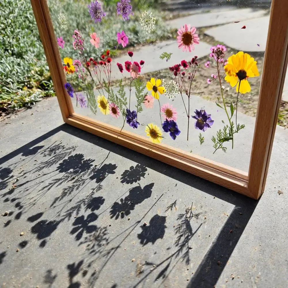 Acrylic Display Frame