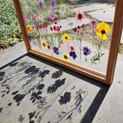 Acrylic Display Frame